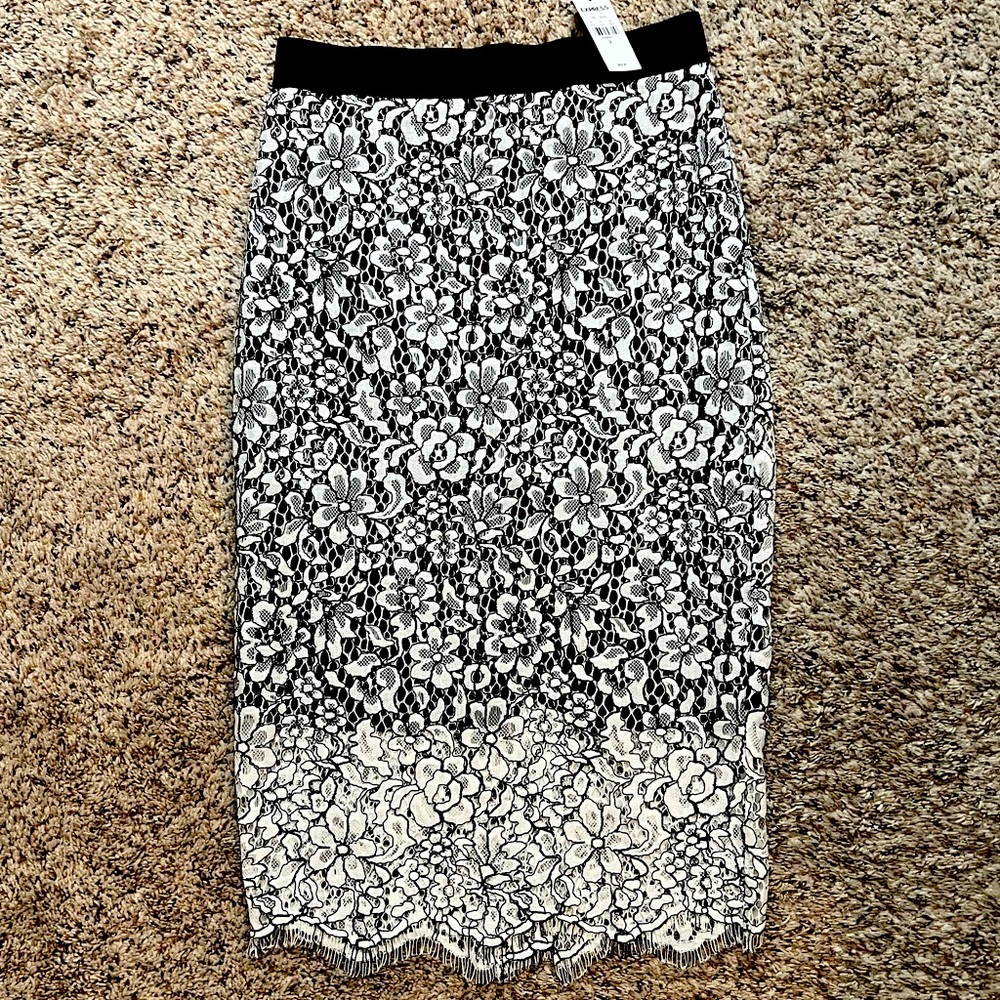 Express Lace Skirt
